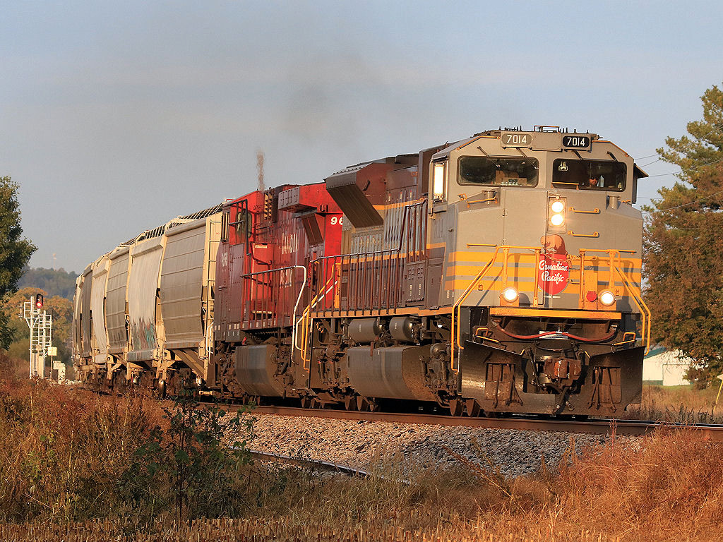 CP 7014